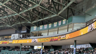 随時更新】阪神タイガース2025年 公式戦日程/チケットまとめ